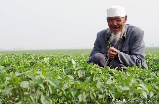 北京京象化肥有限公司