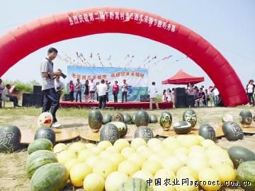 甘肃：“甘州长安”高原夏菜走俏南方市场（图）
