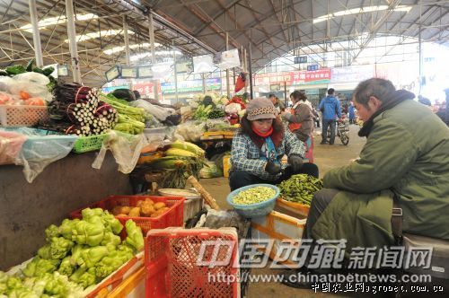 中国黄花菜产业网