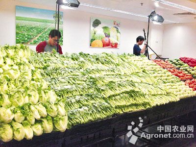 双惠208玉米产地在哪里