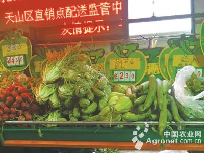 黄须菜批发市场