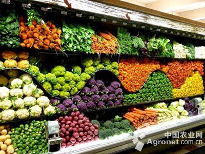 菜苔市场价格