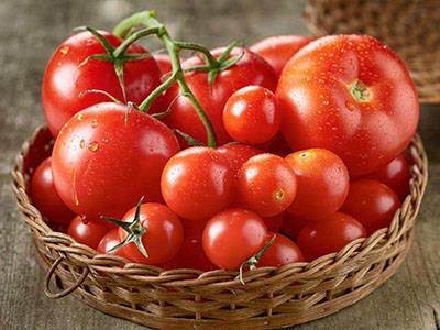 高产红辣椒品种