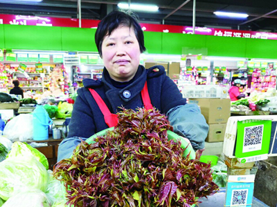红菜苔种植成本和利润