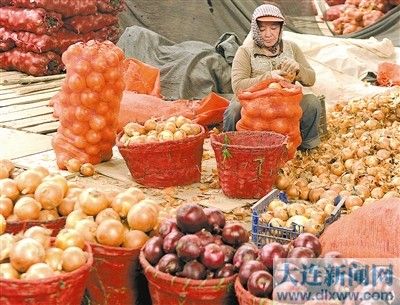 商薯19红薯的亩产量
