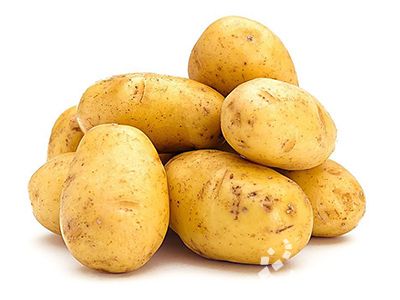 小香薯是转基因的吗