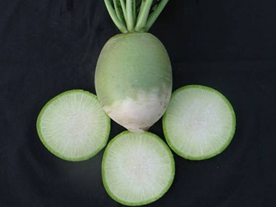 黄瓜育种方法