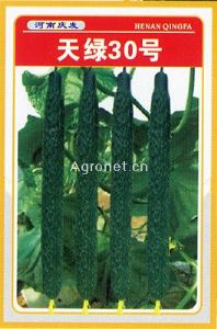 天绿30号——黄瓜种子