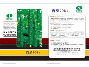 供应鑫绿908—黄瓜种子