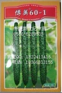 供应优质黄瓜博美60-1种子种苗