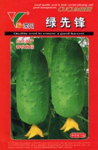 供应绿先锋—黄瓜种子