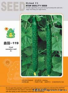 供应鑫园-119—黄瓜种子