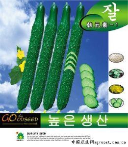 供应韩元素—1—黄瓜种子