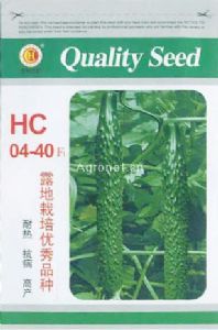 供应HC04—40—黄瓜种子