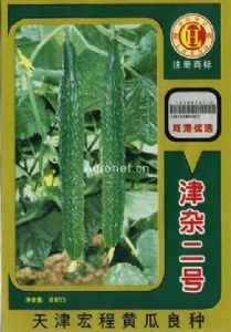 供应津杂二号—黄瓜种子