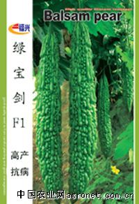 供应绿宝剑F1—黄瓜种子