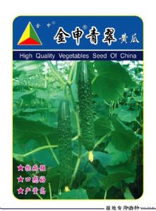 供应金申青翠—黄瓜种子