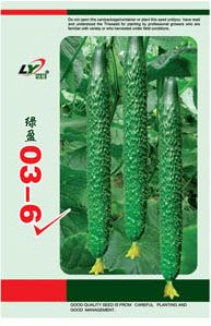 供应绿盈03-6—黄瓜种子