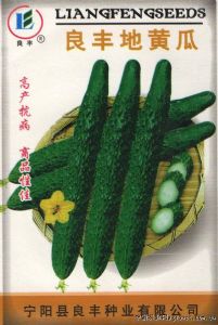 供应良丰地黄瓜（小包装）—黄瓜种子