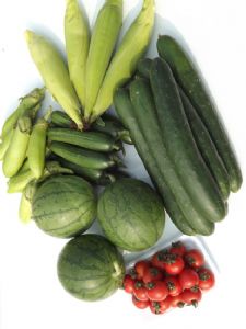 供应蔬菜组合装黄瓜、西葫芦、西瓜