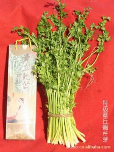 供应章丘鲍芹