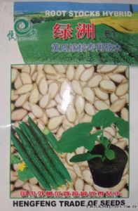 供应绿洲F1—黄瓜种子