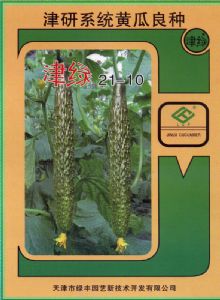 供应津绿21-10—黄瓜种子