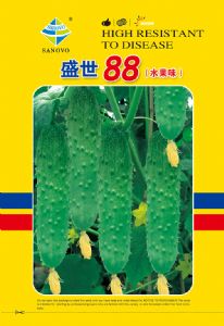 供应盛世88-黄瓜种子