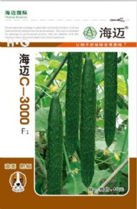 供应c-3000—黄瓜种子